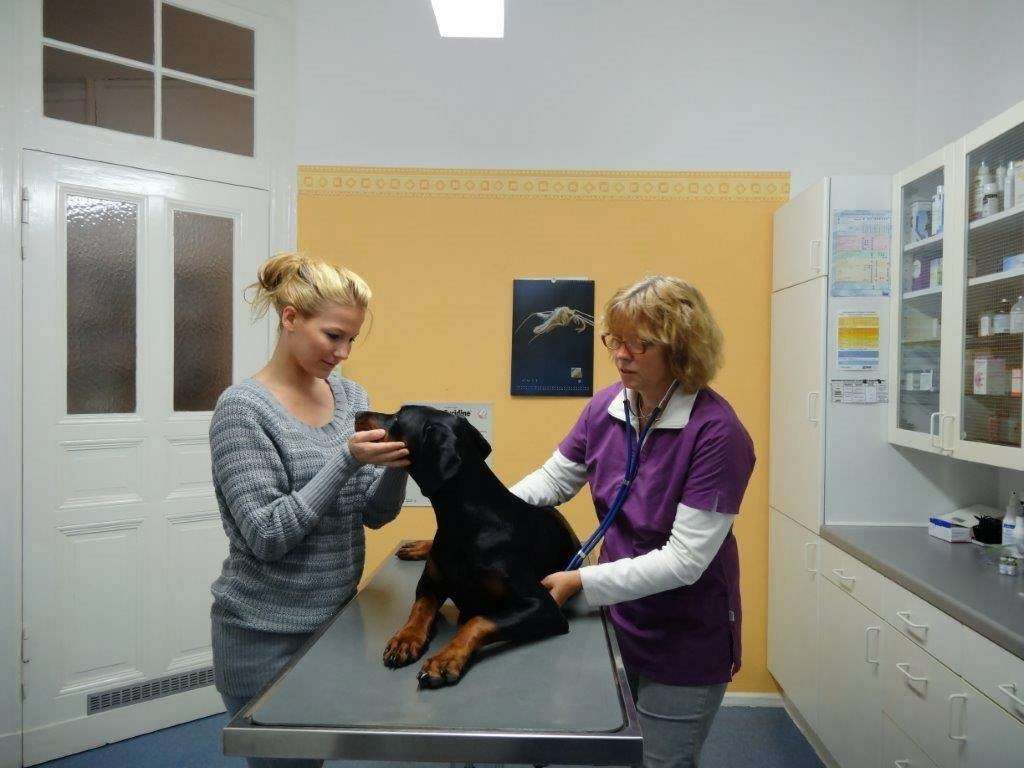 Ansicht 2 von Tierarztpraxis Dr. Steffens