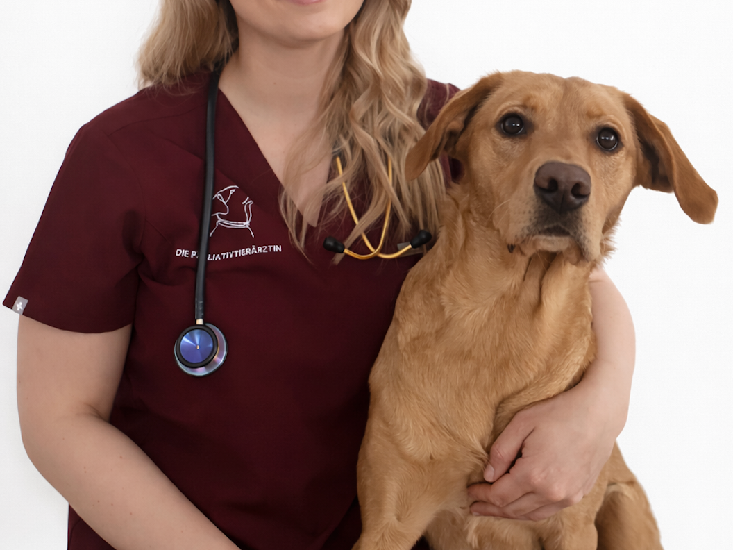 View 1 of Tierarztpraxis Mag. med. vet. Lisa Biber - Die Palliativtierärztin