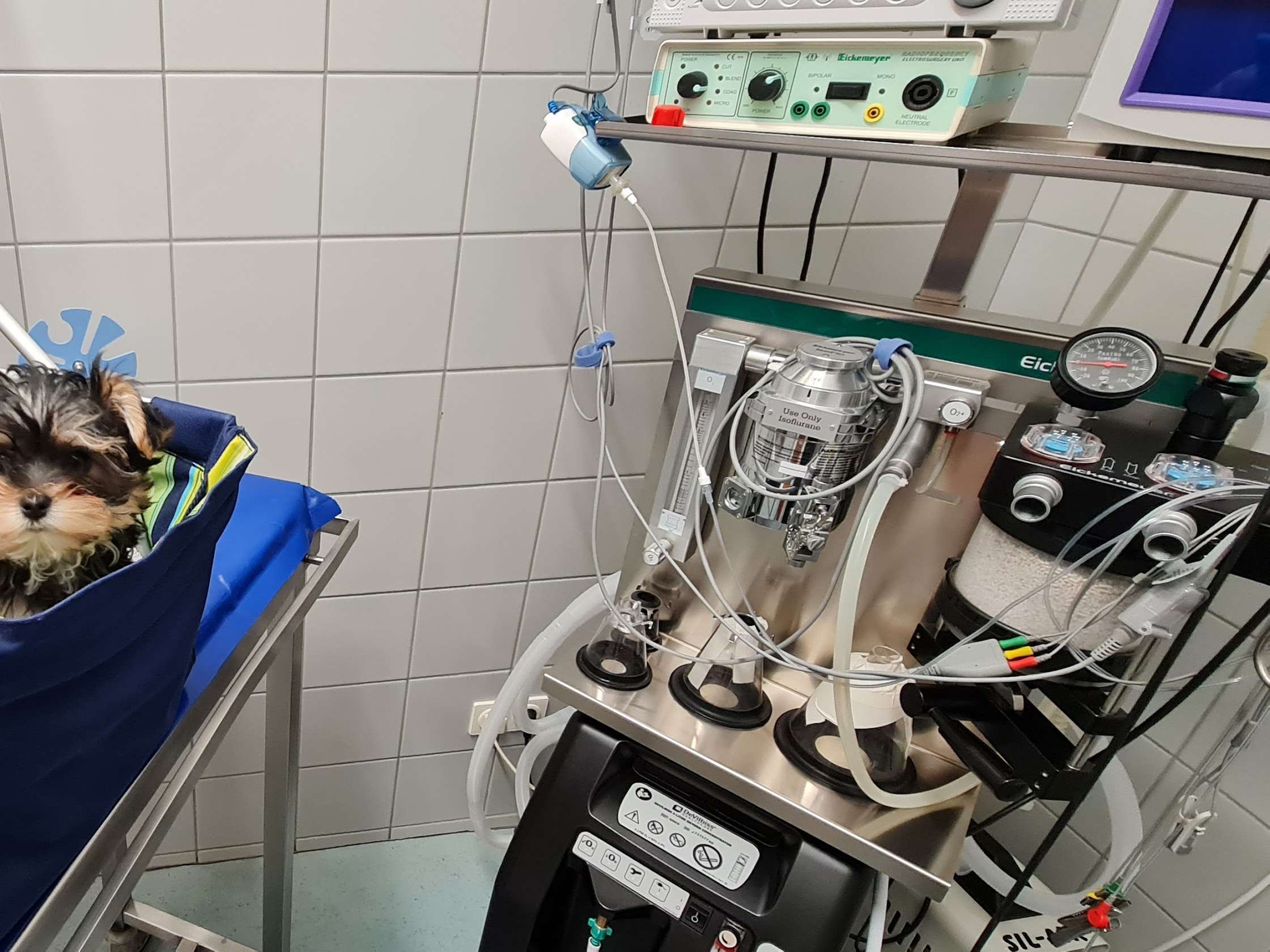 Ansicht 3 von Kleintierpraxis Ottnang