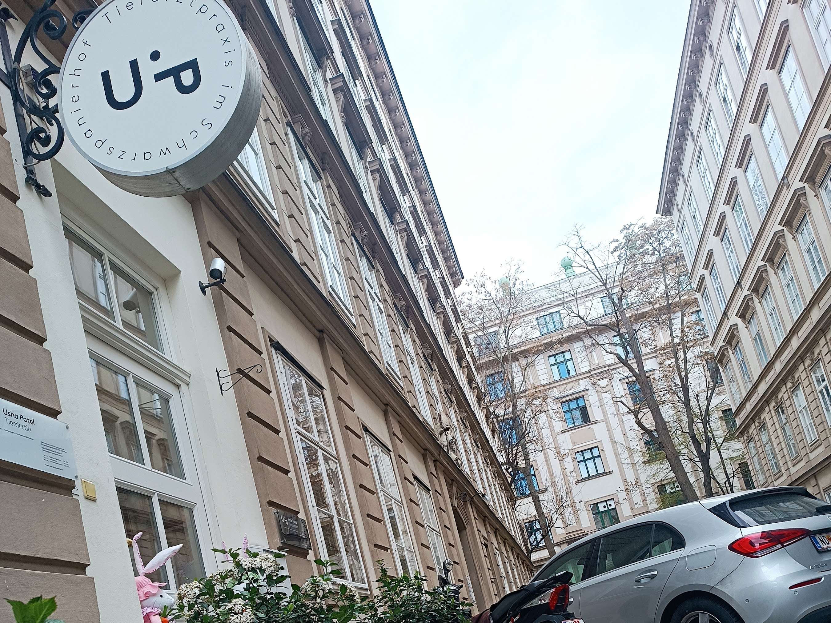 Ansicht 3 von Tierarztpraxis im Schwarzspanierhof