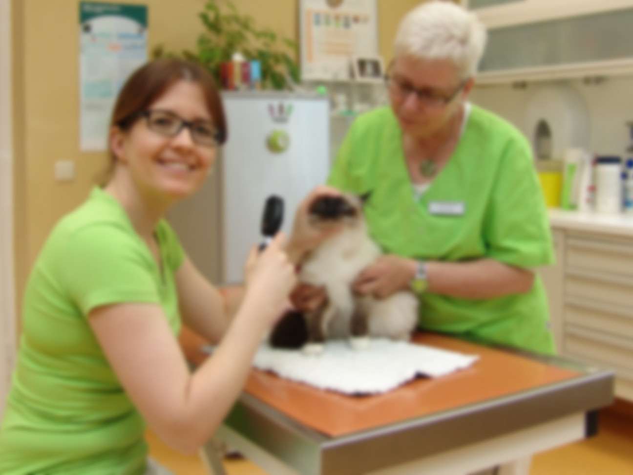 Ansicht 1 von Kleintierpraxis & Tierpension Dr. med. vet. Anke Horn