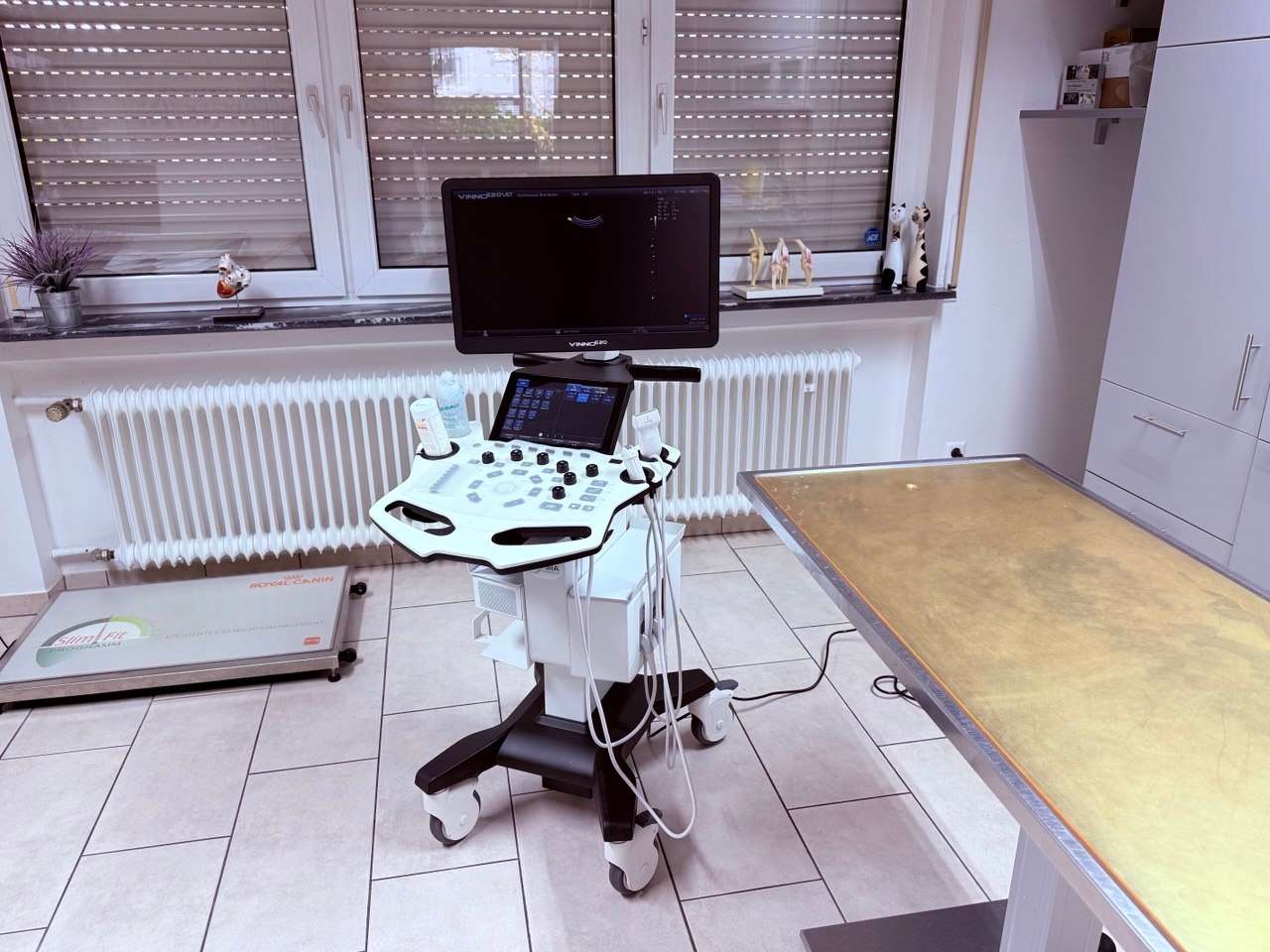 Ansicht 3 von Kleintierpraxis Rheinfelden, prakt. Tierärzte Siyanovich