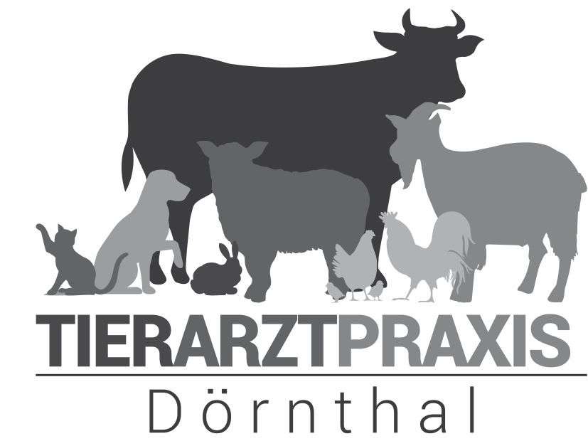Ansicht 1 von Tierarztpraxis Dörnthal