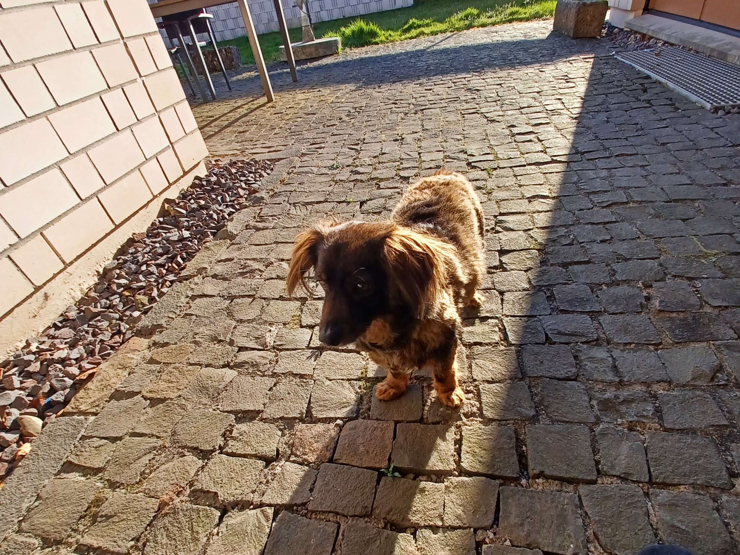 View 1 of Tierarztpraxis Bruno Baar-Grüttemeier