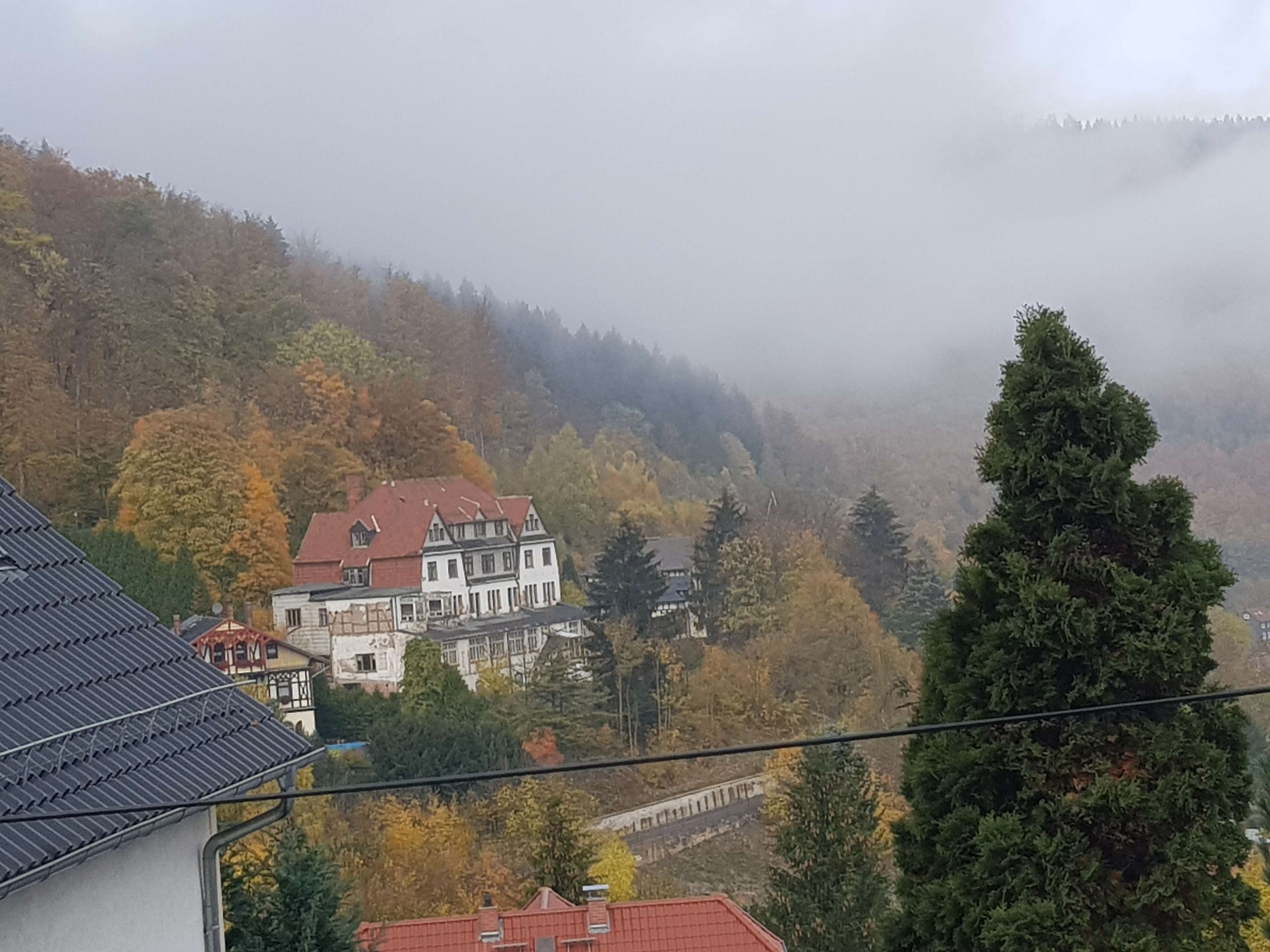 Ansicht 3 von Corinett Gössel Tierärztin