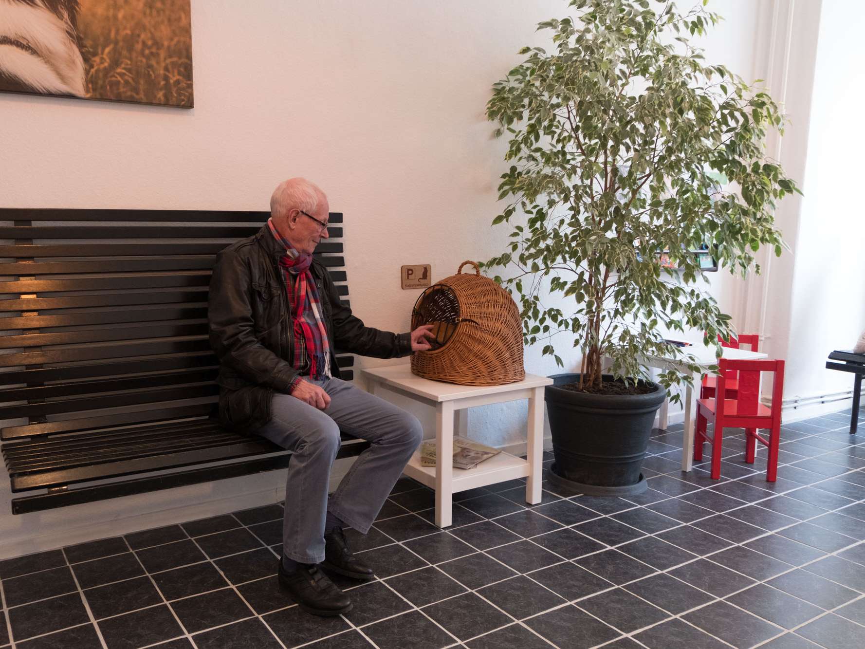 Ansicht 3 von Tierarztpraxis Oldenburger Straße