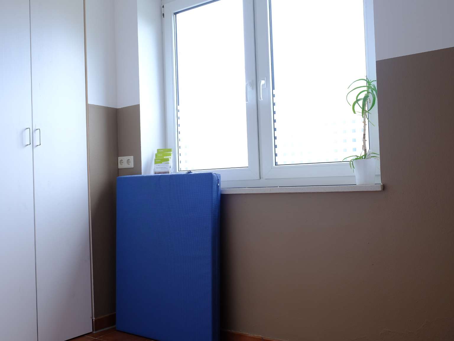 Ansicht 2 von Tierarztpraxis für Chiropraktik & Rehabilitation