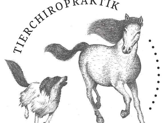 Ansicht 1 von Tierchiropraktik Heidekreis