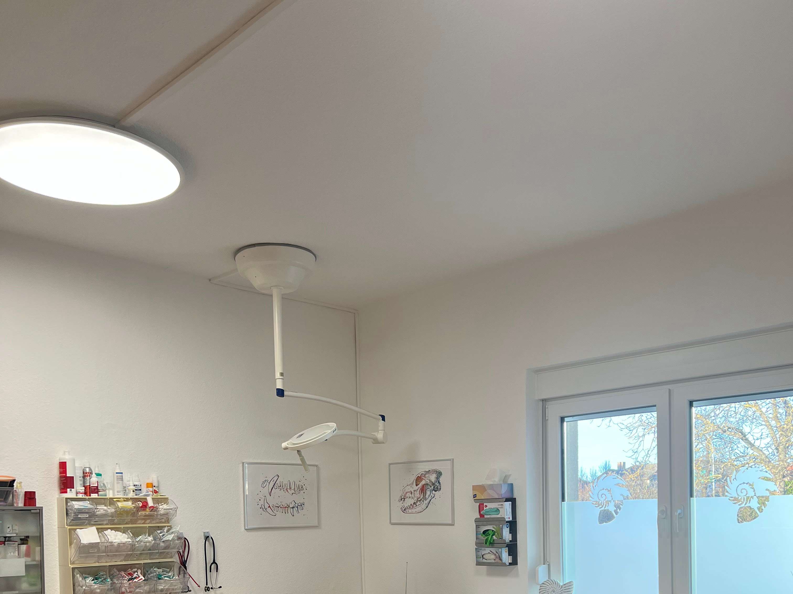 Ansicht 3 von Tierarztpraxis Schönefeld Dr. Kupsch / TA Widder