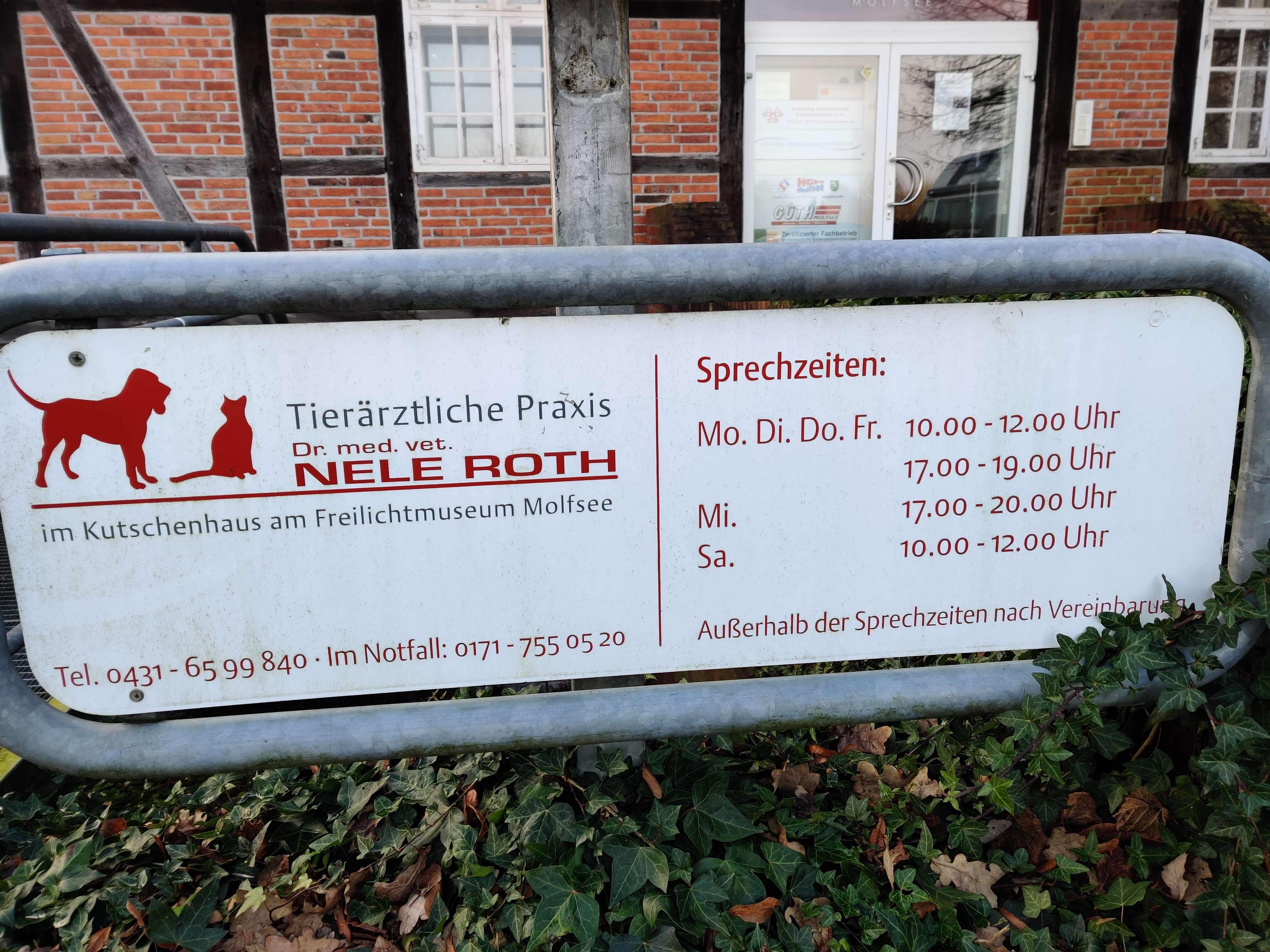 View 2 of Nele Roth