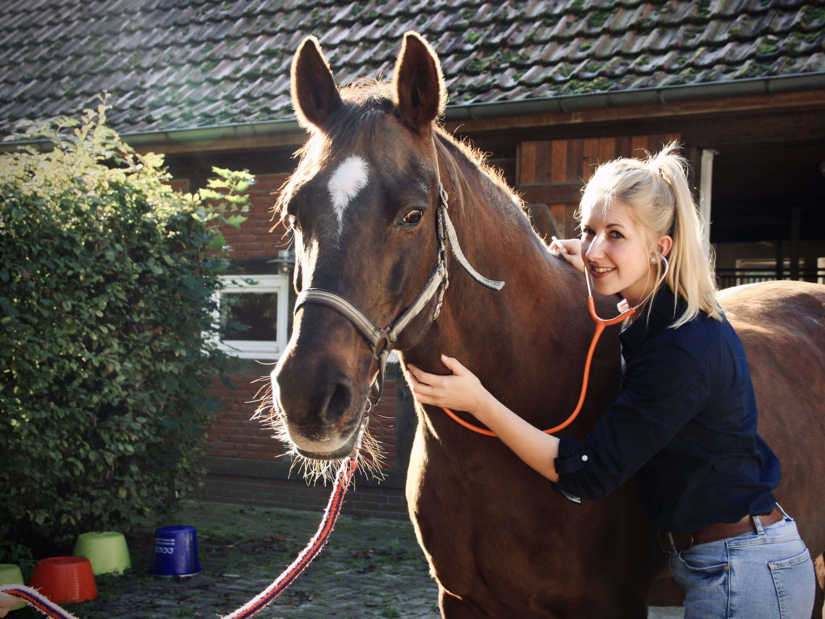 Ansicht 1 von Equuria GbR | Pferdepraxis