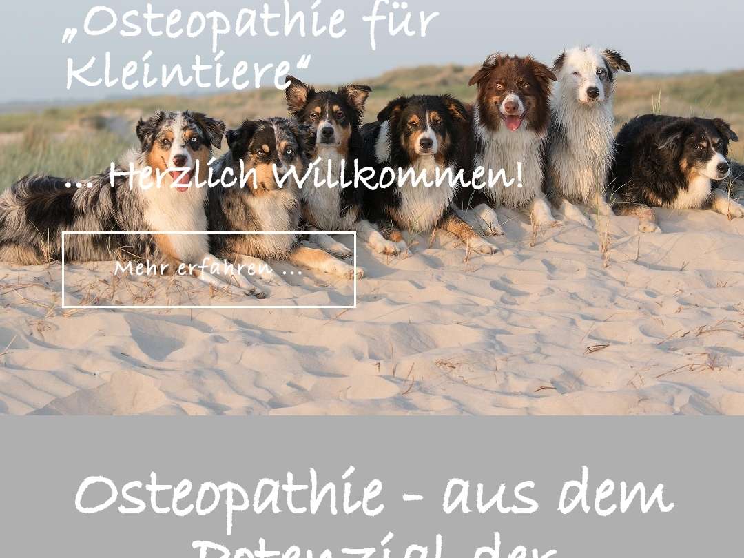 Ansicht 1 von Tierarztpraxis Antje Brendel #Osteopathie #Homöopathie #Phytoptherapie #Tönning #Garding #SPO #Eiderstedt #Nordfriesland