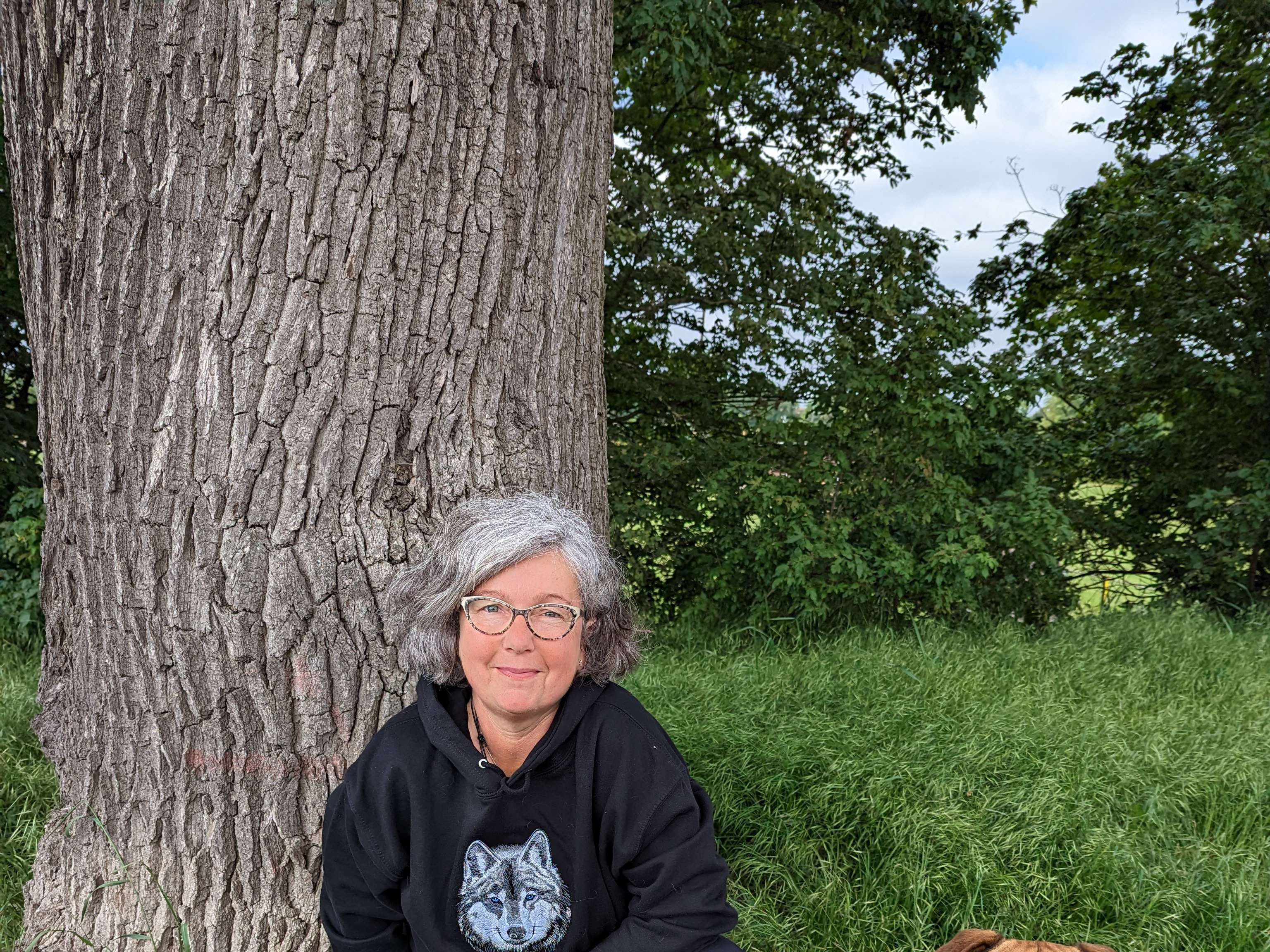 Ansicht 1 von Tierarztpraxis Maike Tostmann