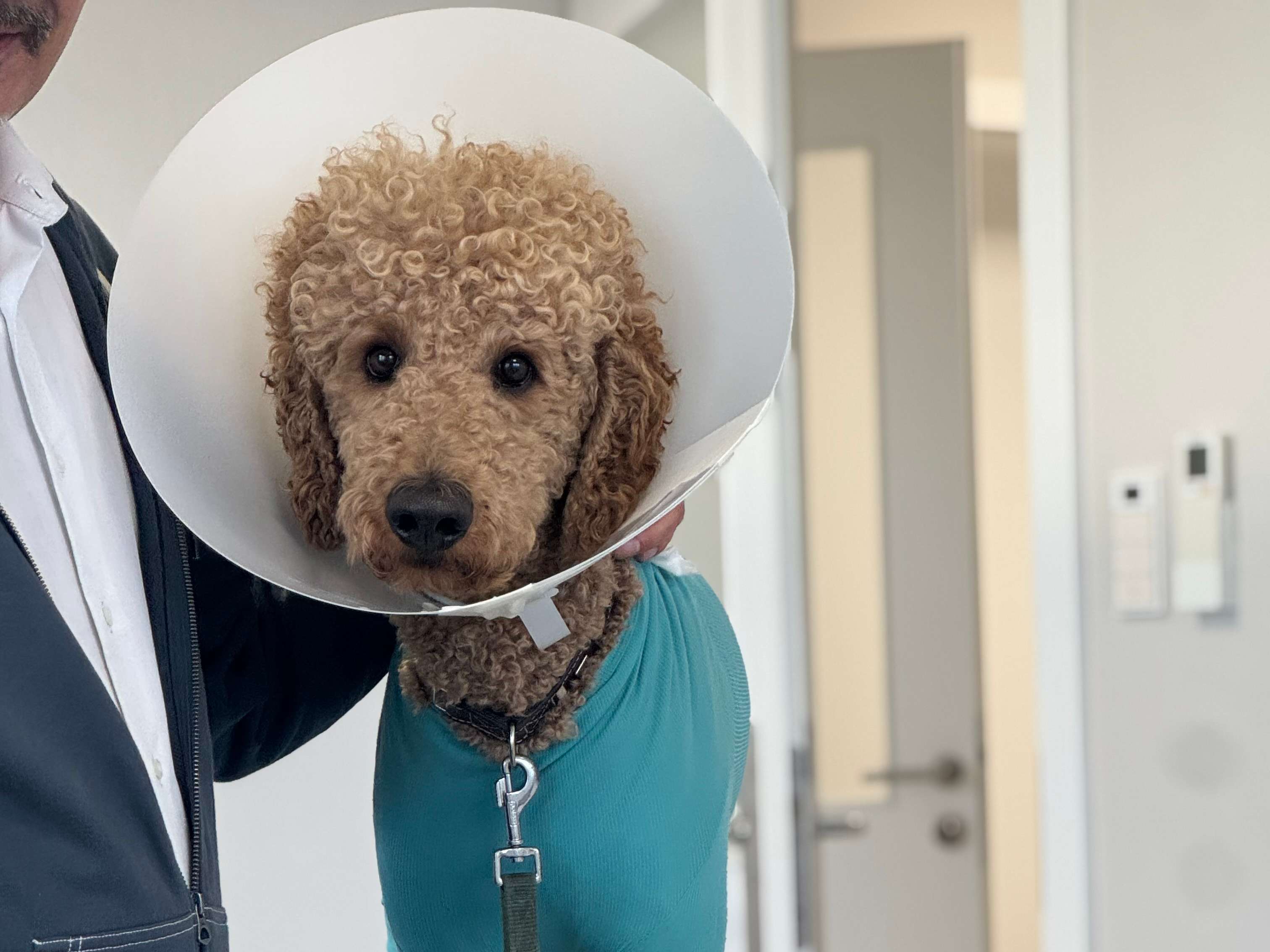 Ansicht 3 von Veterinärmedizinisches Kompetenzzentrum
