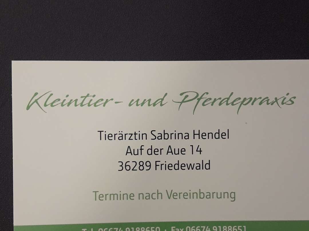 Ansicht 1 von Tierärztin Sabrina Hendel