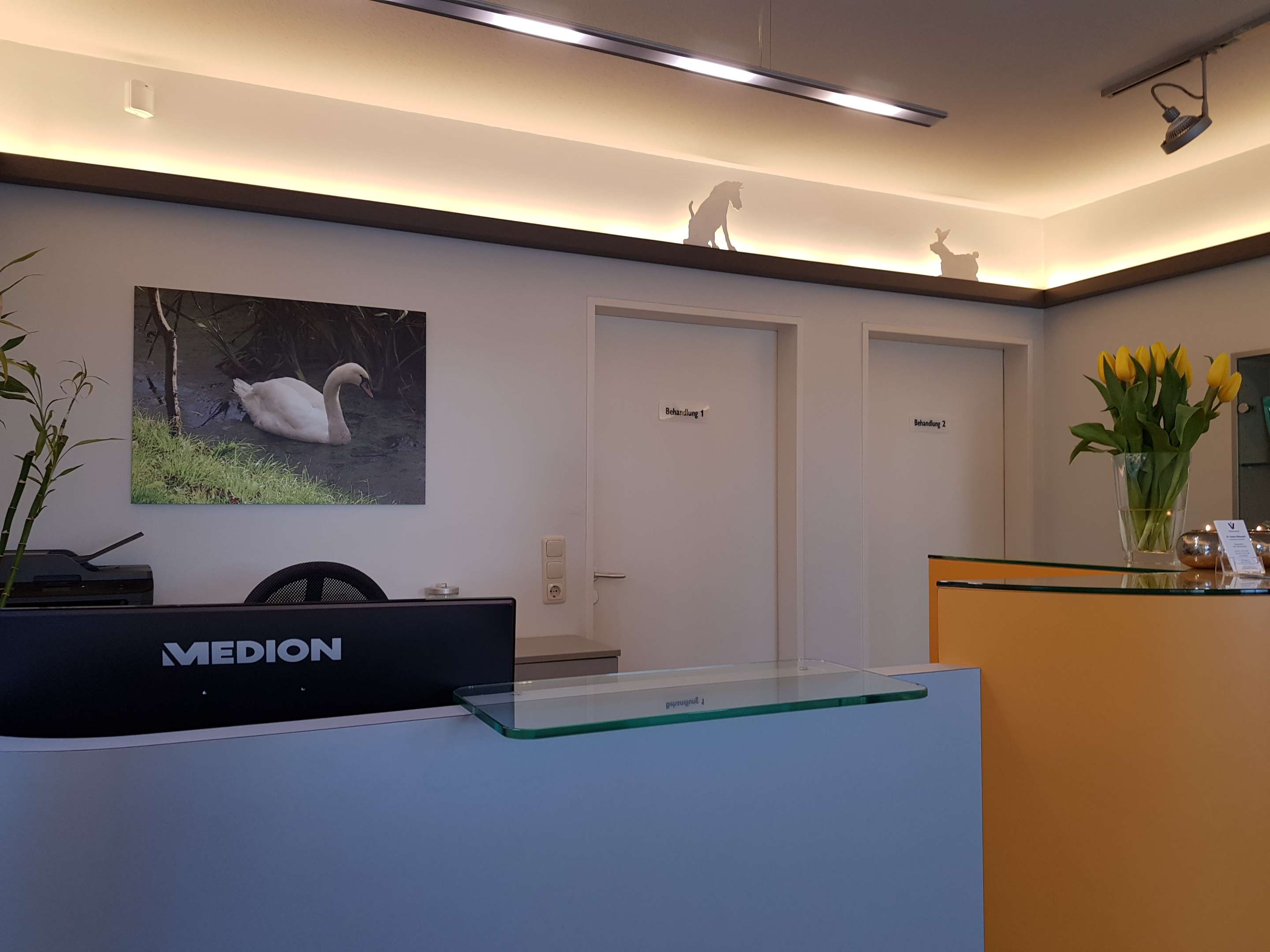 Ansicht 3 von Kleintierpraxis Dr. med. vet. Sandra Kühnapfel