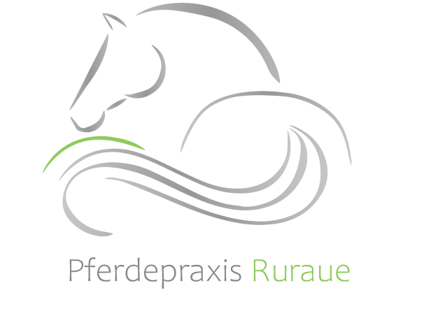 Ansicht 3 von Pferdepraxis Ruraue