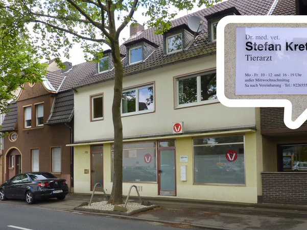 View 2 of Dr. Stefan Kreth