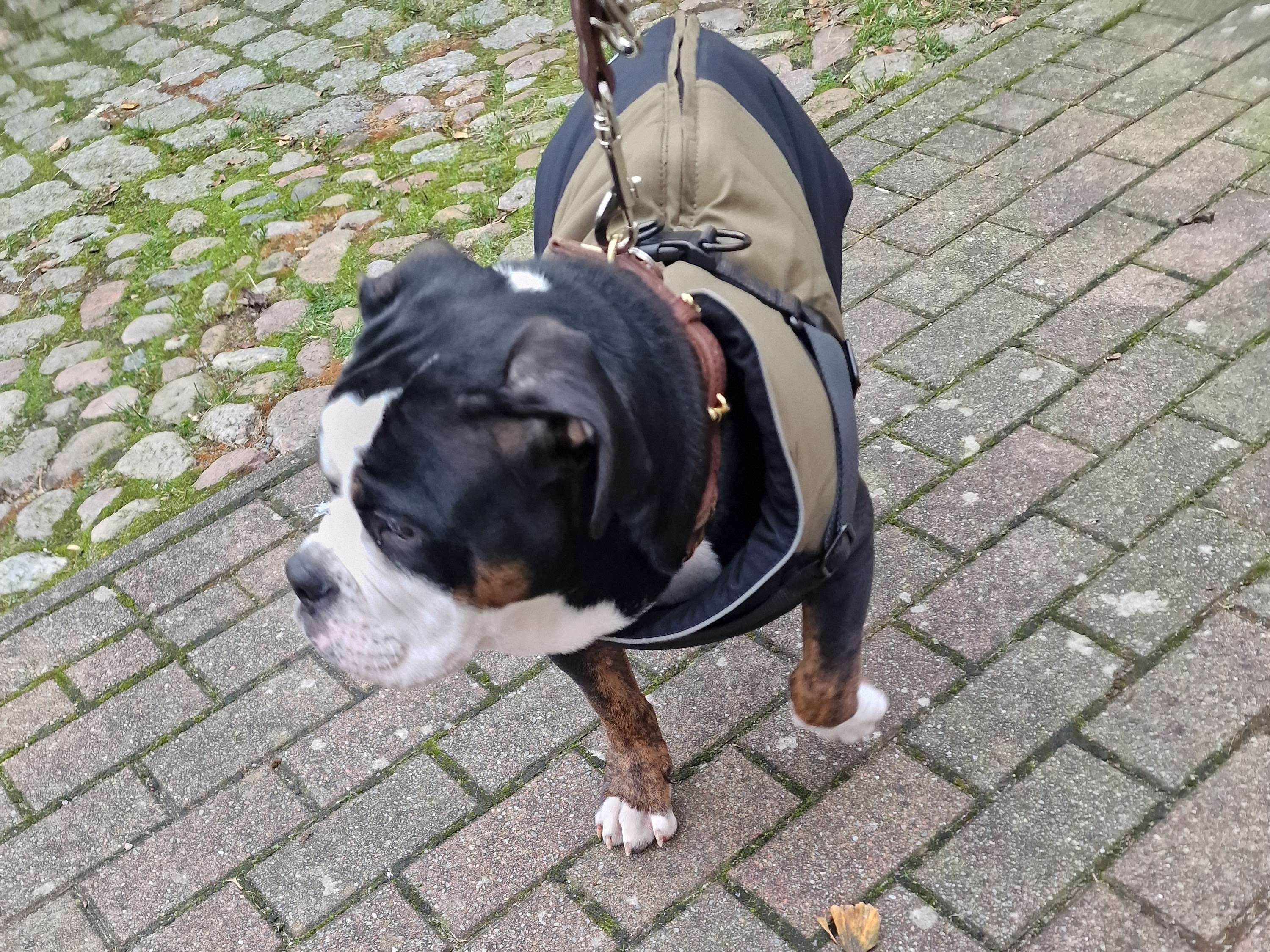 Ansicht 2 von Tierarzt Hendrik Somschor