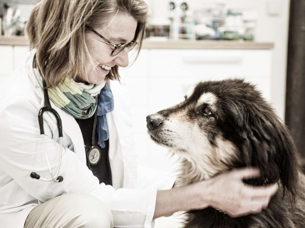 View 3 of Dr.med.vet. Kerstin Schwarzer Tierärztin