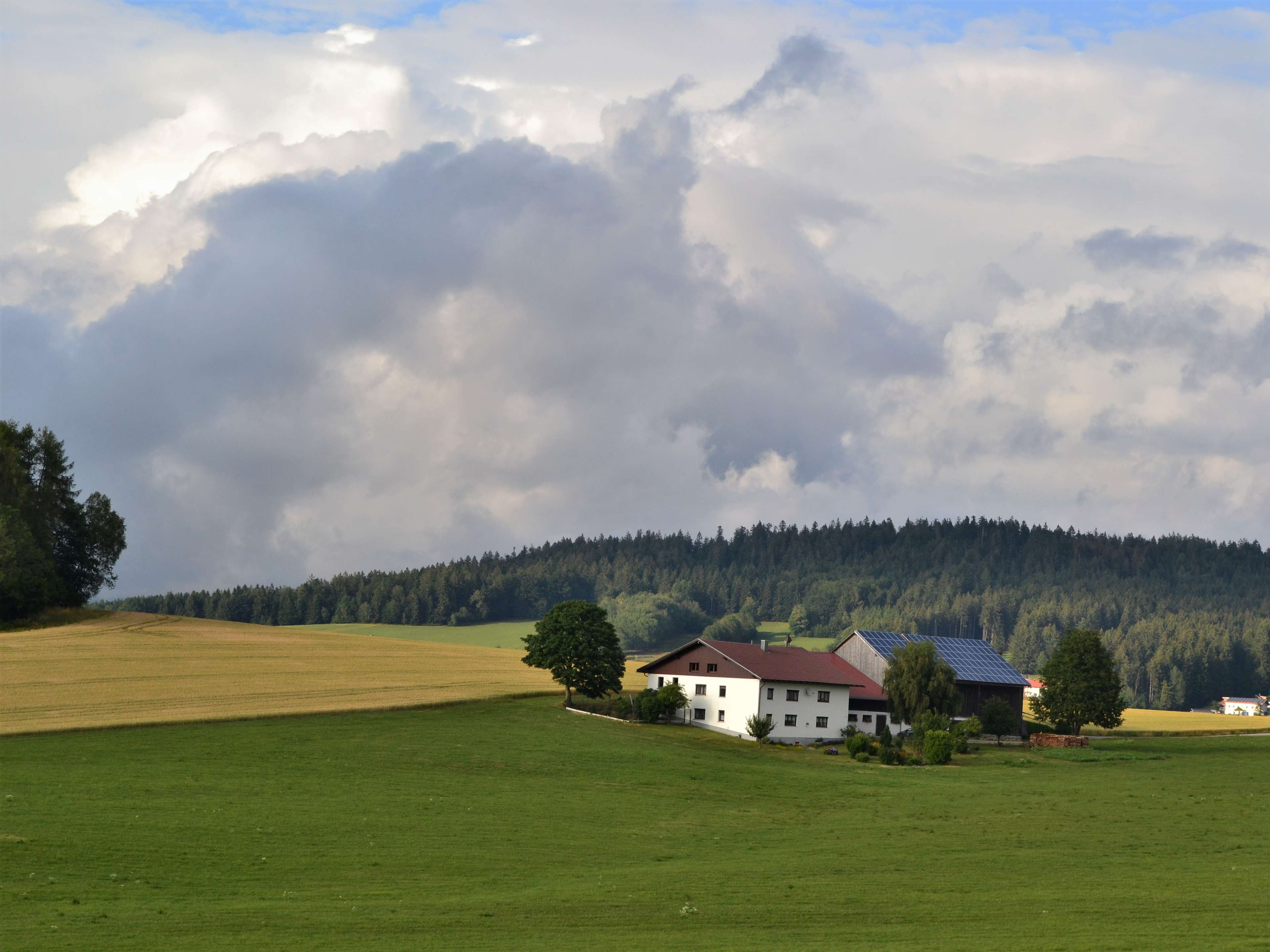 Ansicht 2 von Ilztal Vet Tierärztliche Praxis für Groß und Kleintiere