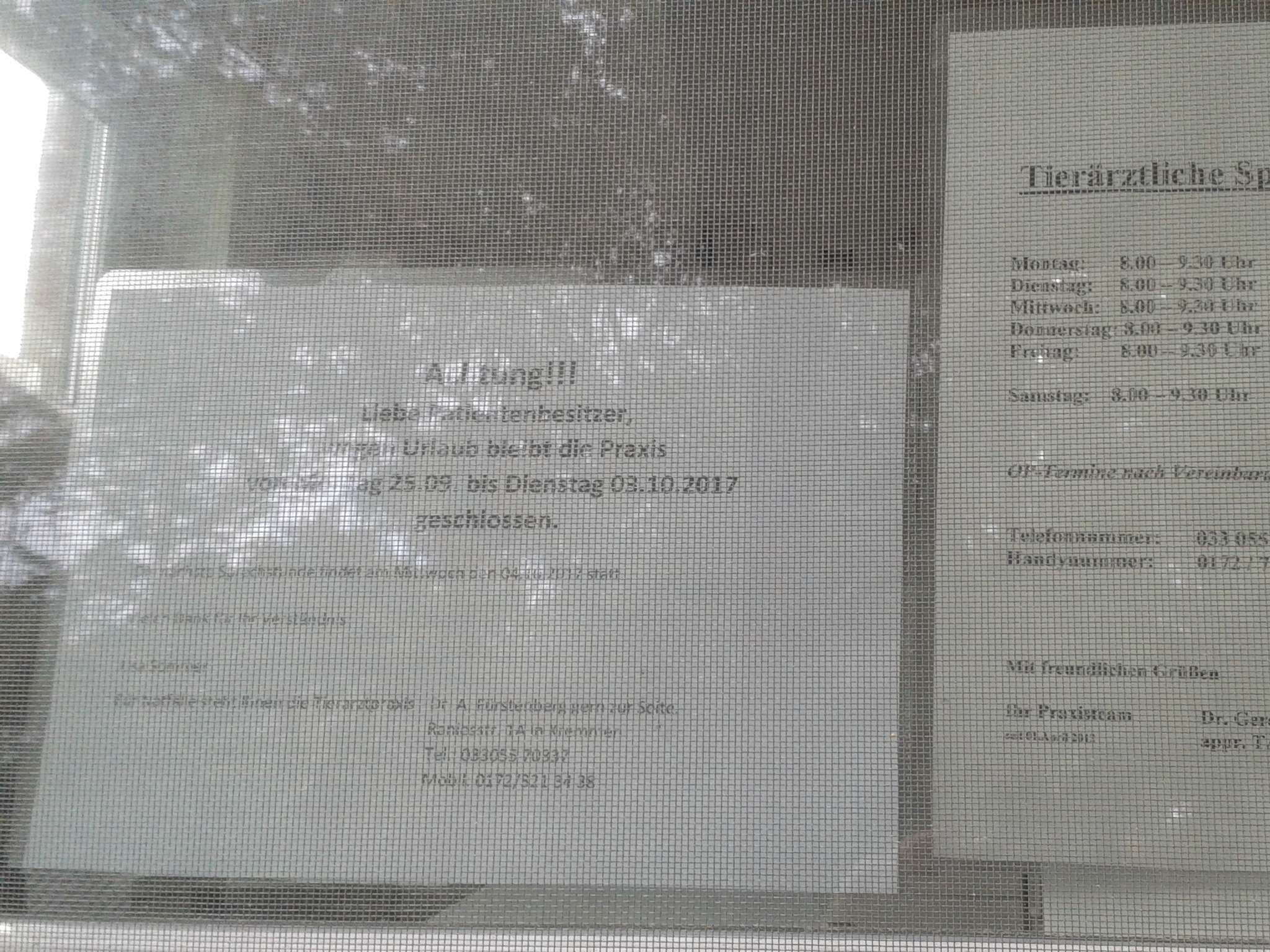 Ansicht 4 von Tierarztpraxis Kremmen Lisa Sommer