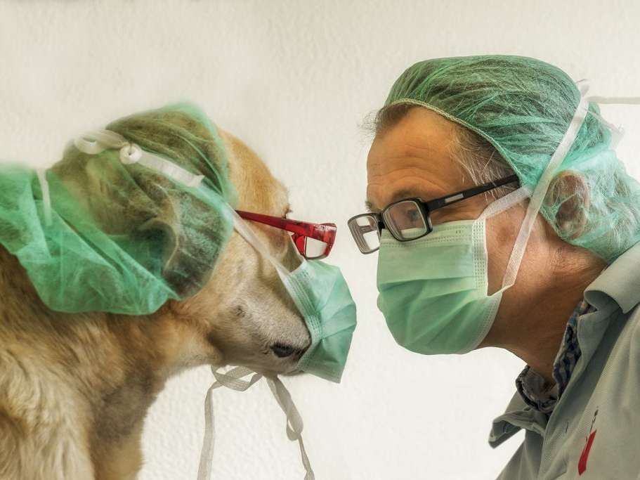 Ansicht 1 von Tierärztliche Praxis Dr. Philipp Krug