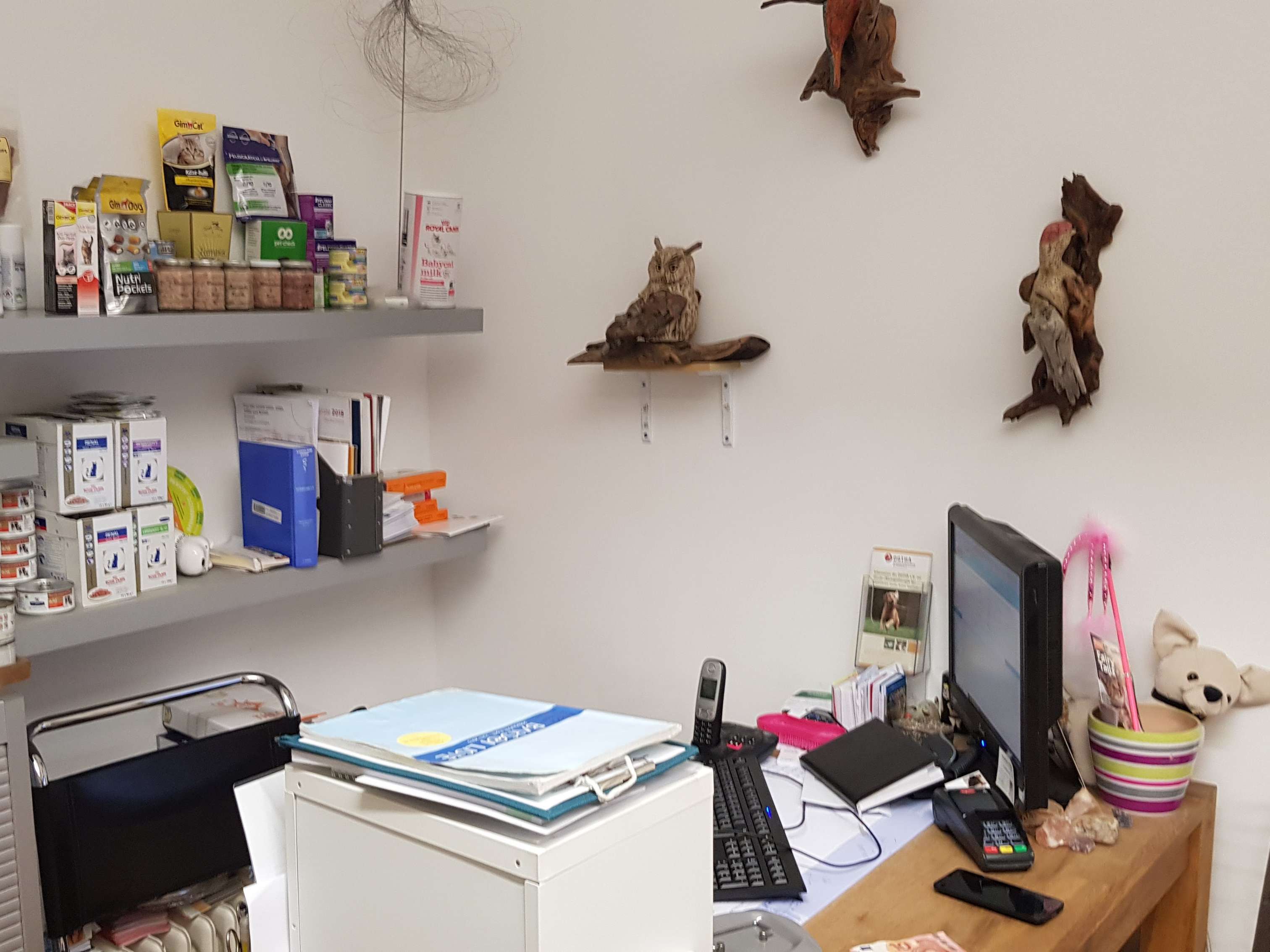 Ansicht 3 von Dr.med.vet. Susanne Röhrl Tierärztin