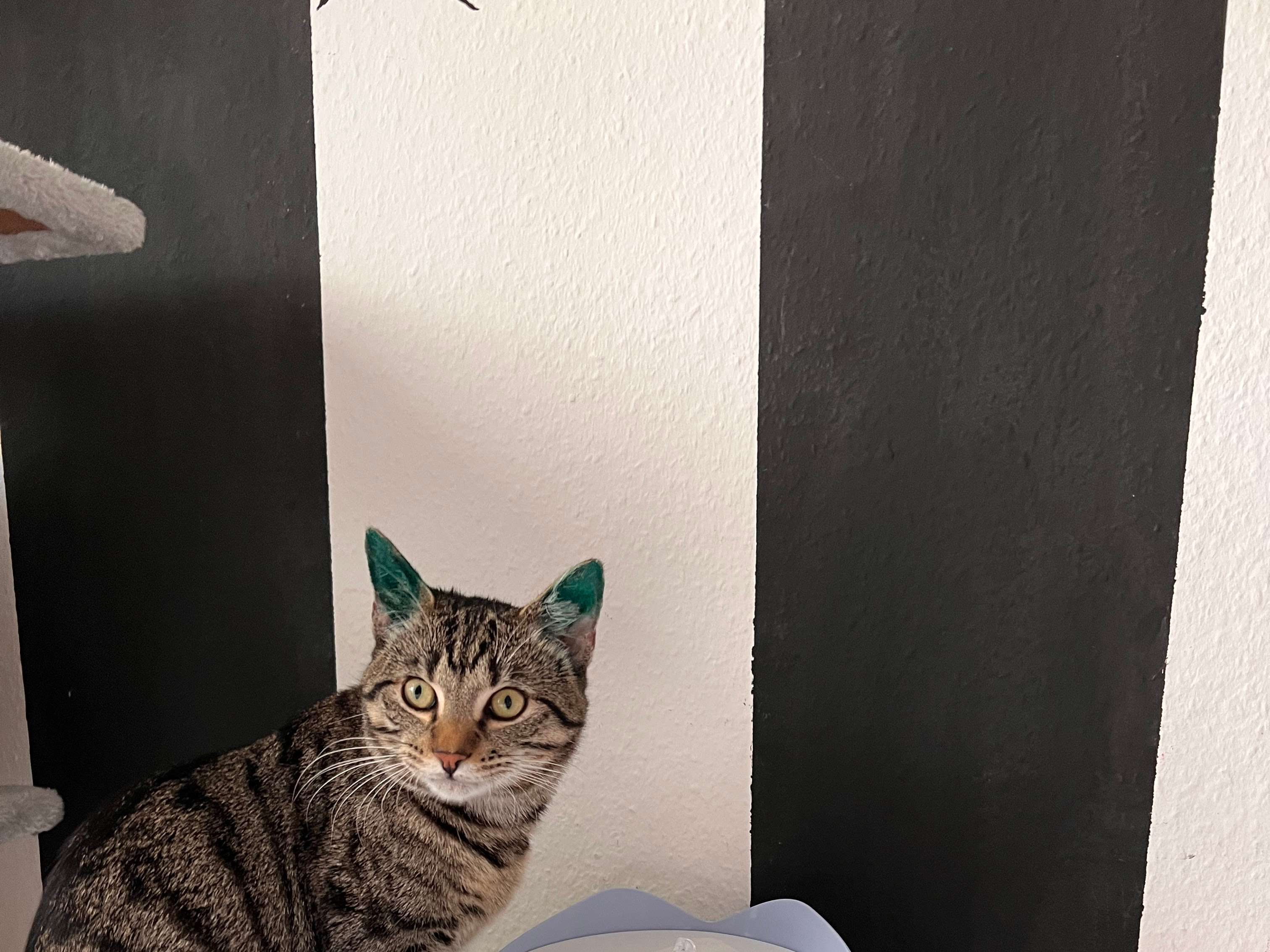 Ansicht 1 von Ursula Hedrich