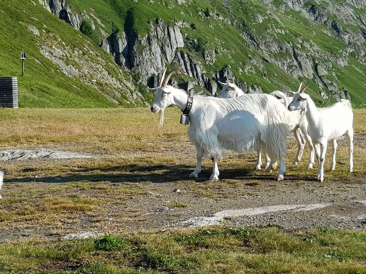 Ansicht 2 von Dipl-TA Christian Aschauer