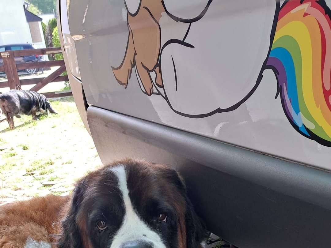 Ansicht 1 von Tierarztpraxis Dr. Julia Ziemann