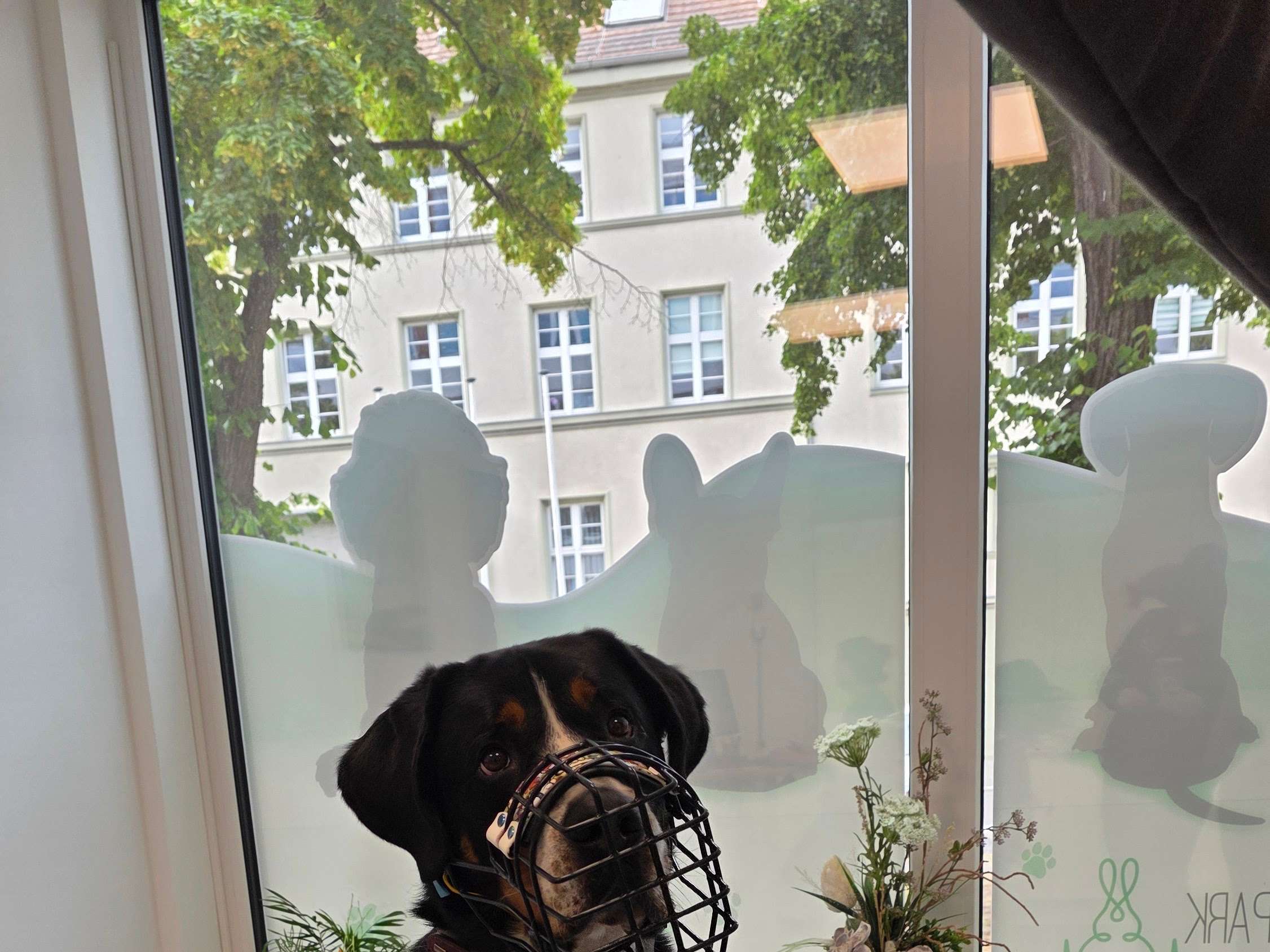 Ansicht 3 von Tierarztpraxis am Goethepark