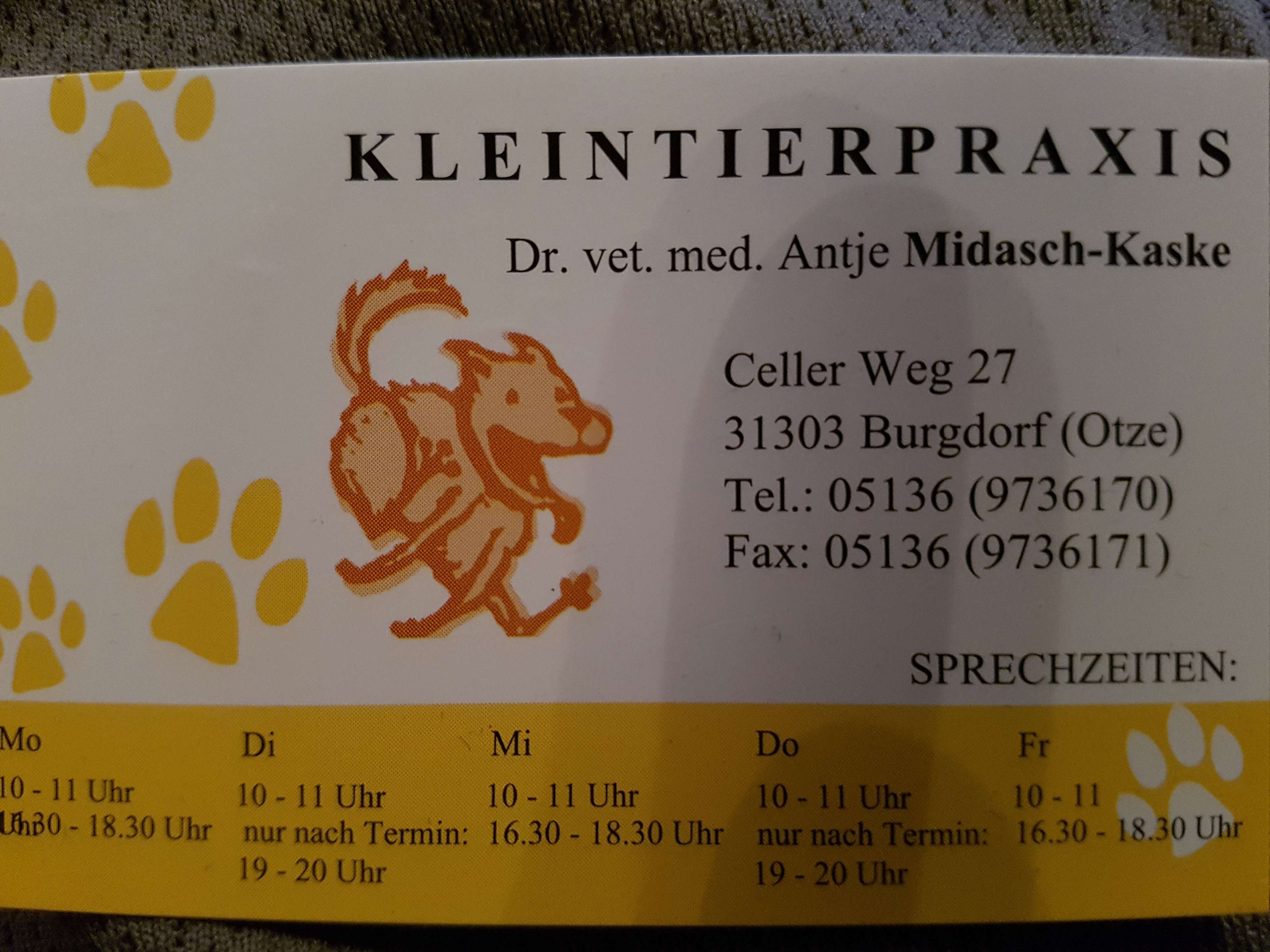Ansicht 2 von Antje Midasch-Kaske Tierärztin