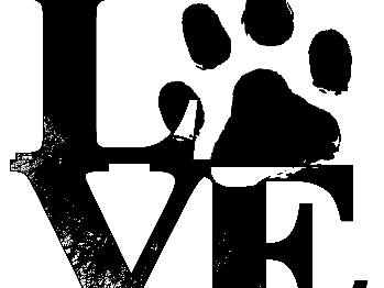 Ansicht 1 von Dr.med.vet. Martin Borgers Tierarzt