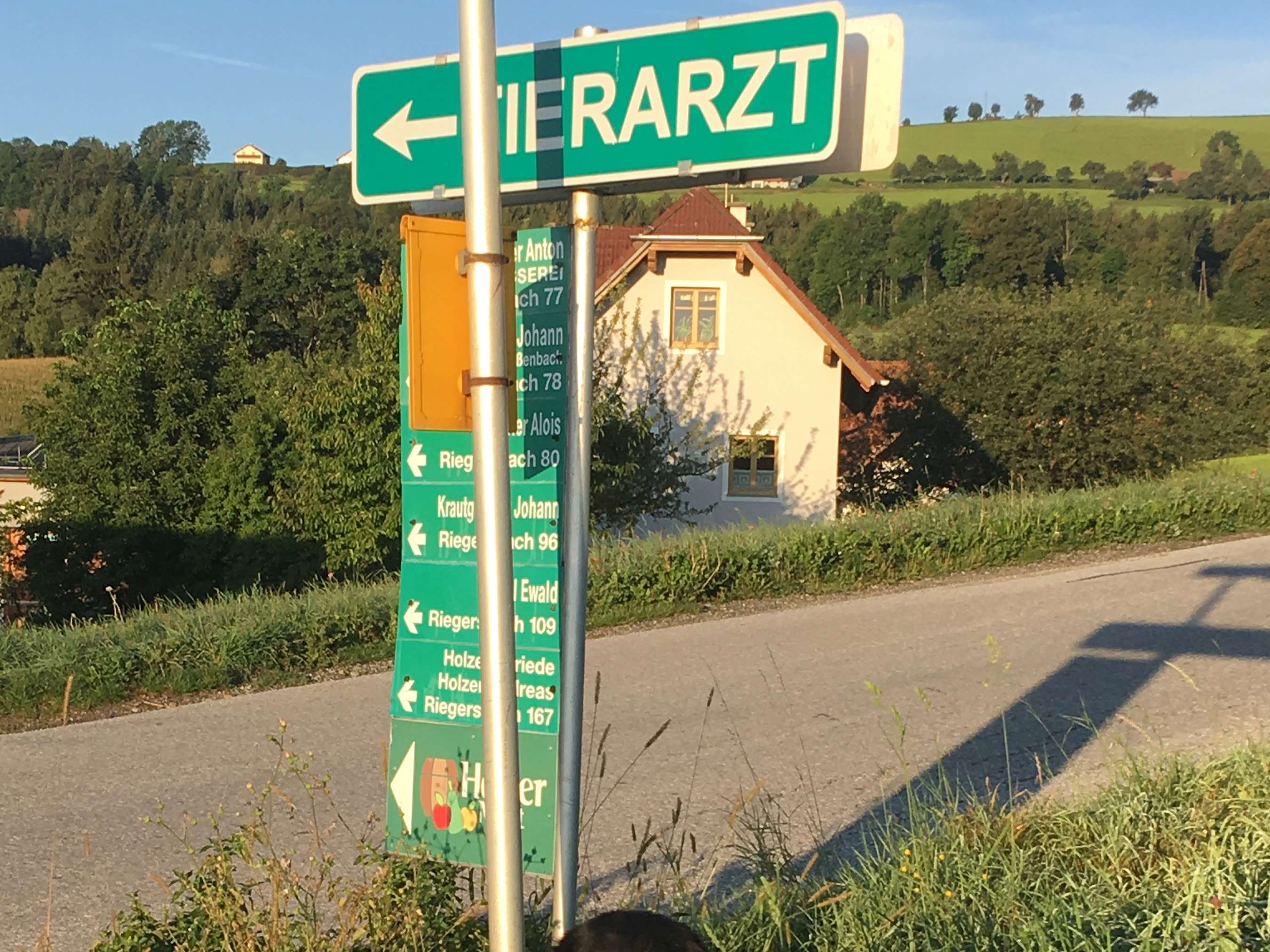 Ansicht 1 von Tierarztpraxis Dr. Brigitte Steiner