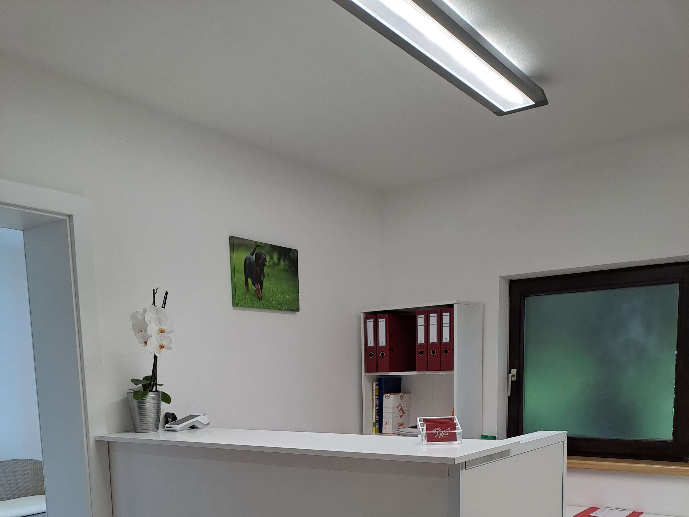Ansicht 1 von Tierarztpraxis Bergland