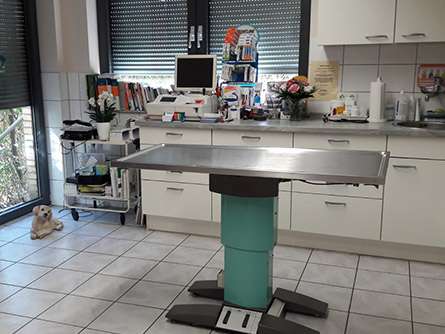 Ansicht 3 von Kleintierpraxis Dr. med. vet. Beate Zimmermann