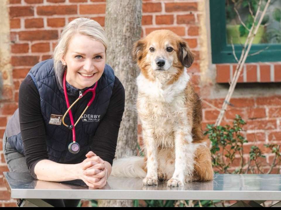 Ansicht 1 von Tierarztpraxis Huf & Pfote, Dr. med. vet. Julia Brennecke
