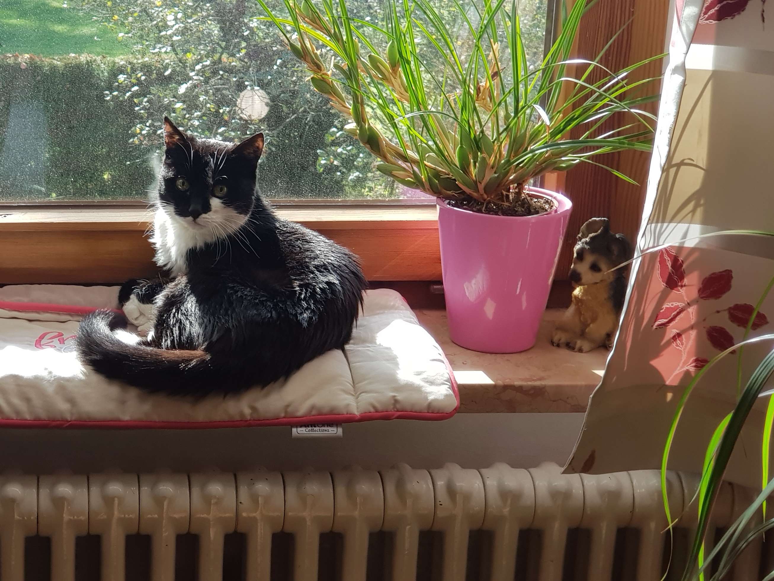 Ansicht 3 von Tierärztliche Gemeinschaftspraxis Übersee