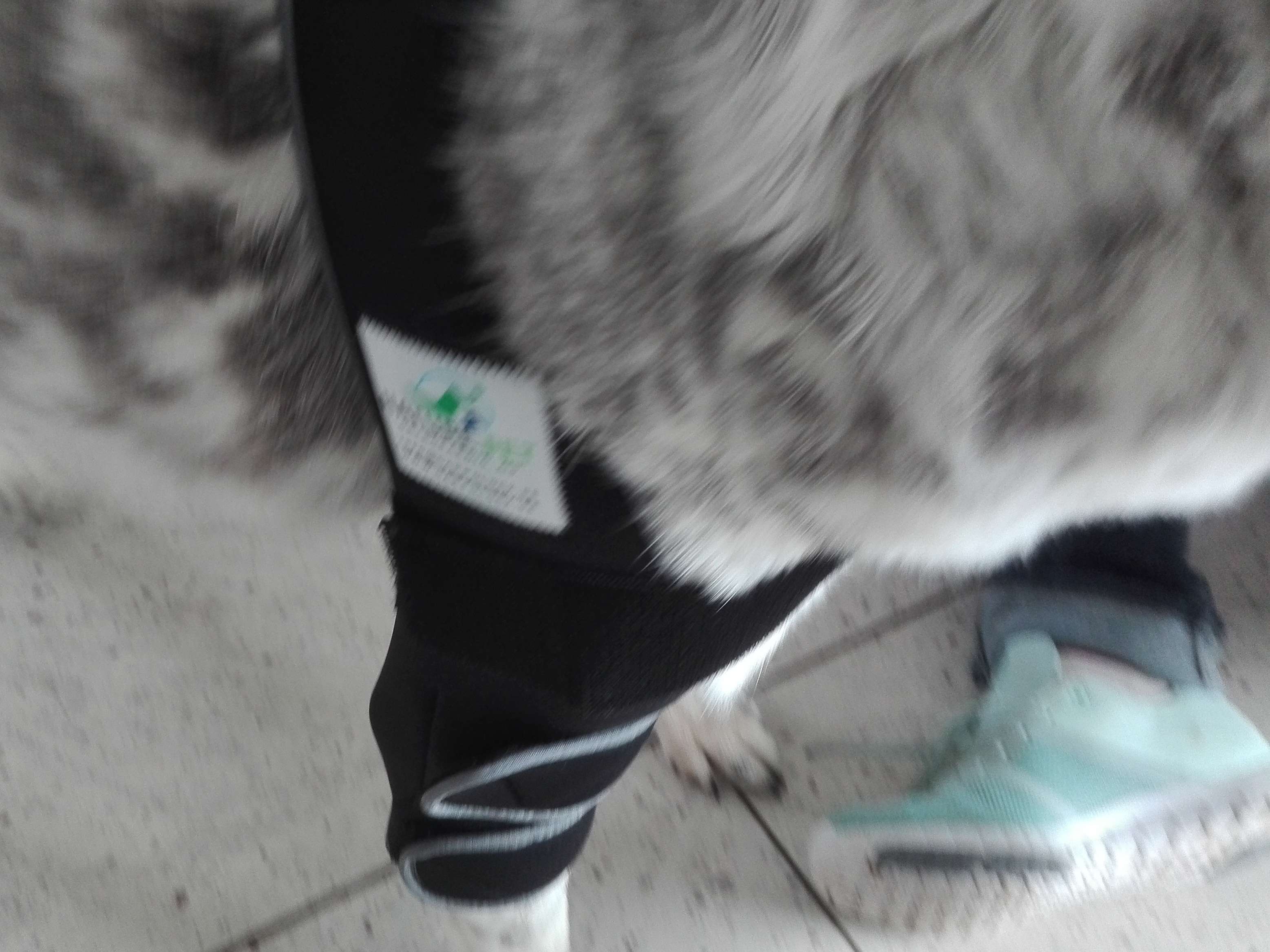 Ansicht 2 von Sirius-Tierphysiotherapie