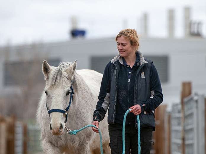 Ansicht 1 von Equi-CaRe