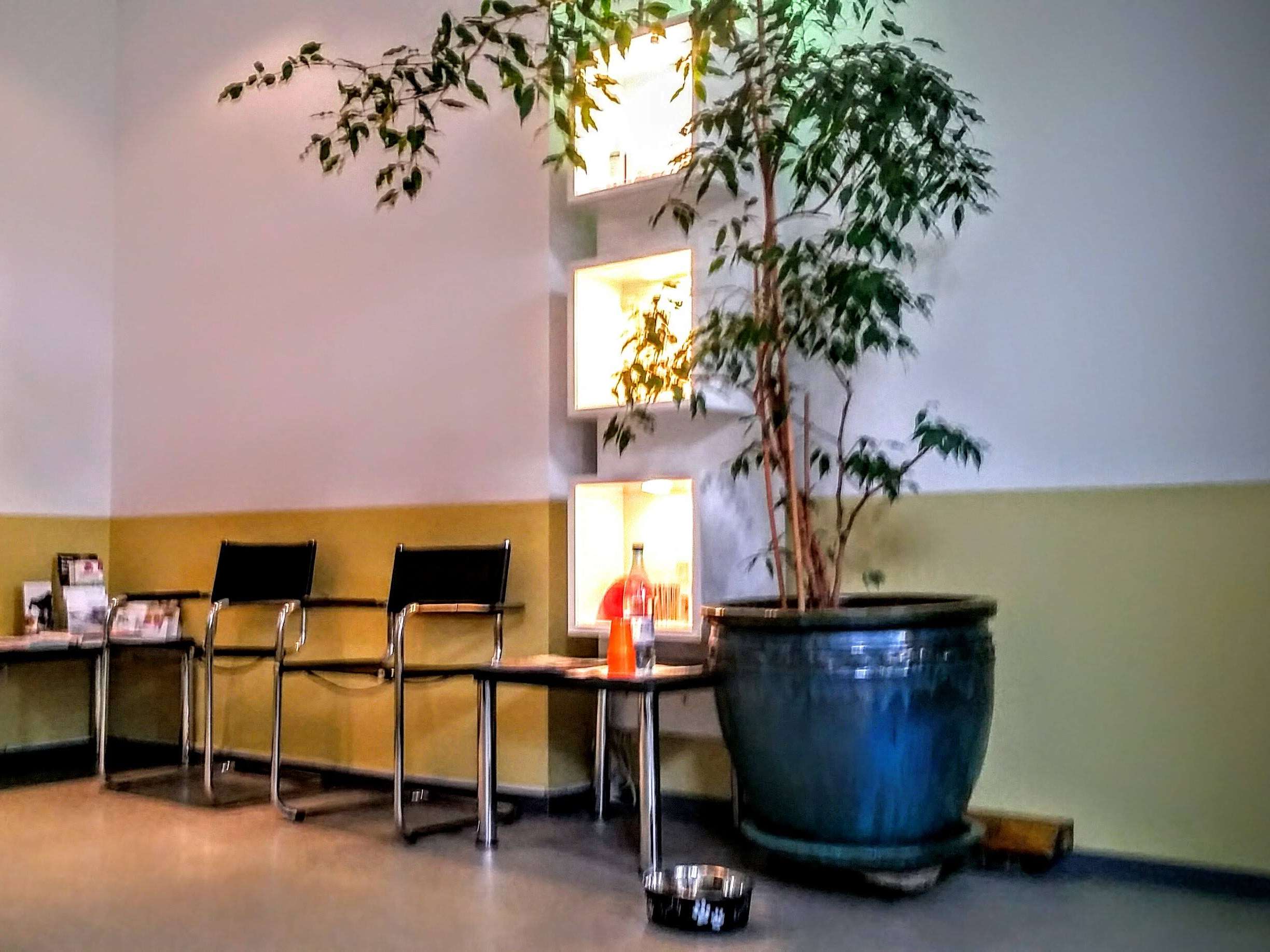 Ansicht 2 von Flidais-Vet - Kleintierpraxis Kreuzberg
