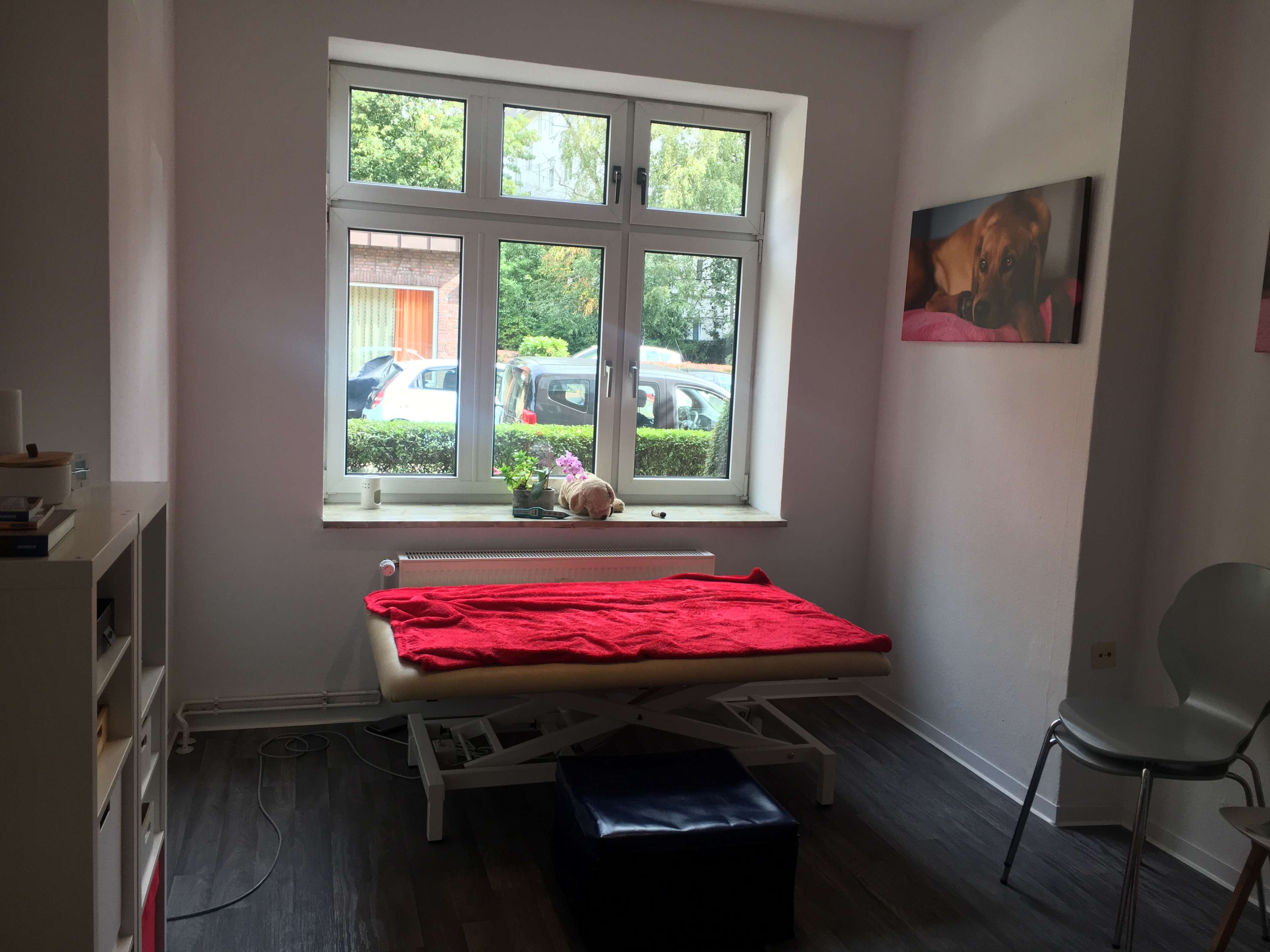 Ansicht 2 von BewegungsTalent Tierphysiotherapie