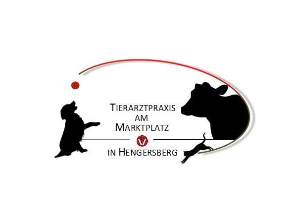 Ansicht 3 von Tierarztpraxis am Marktplatz