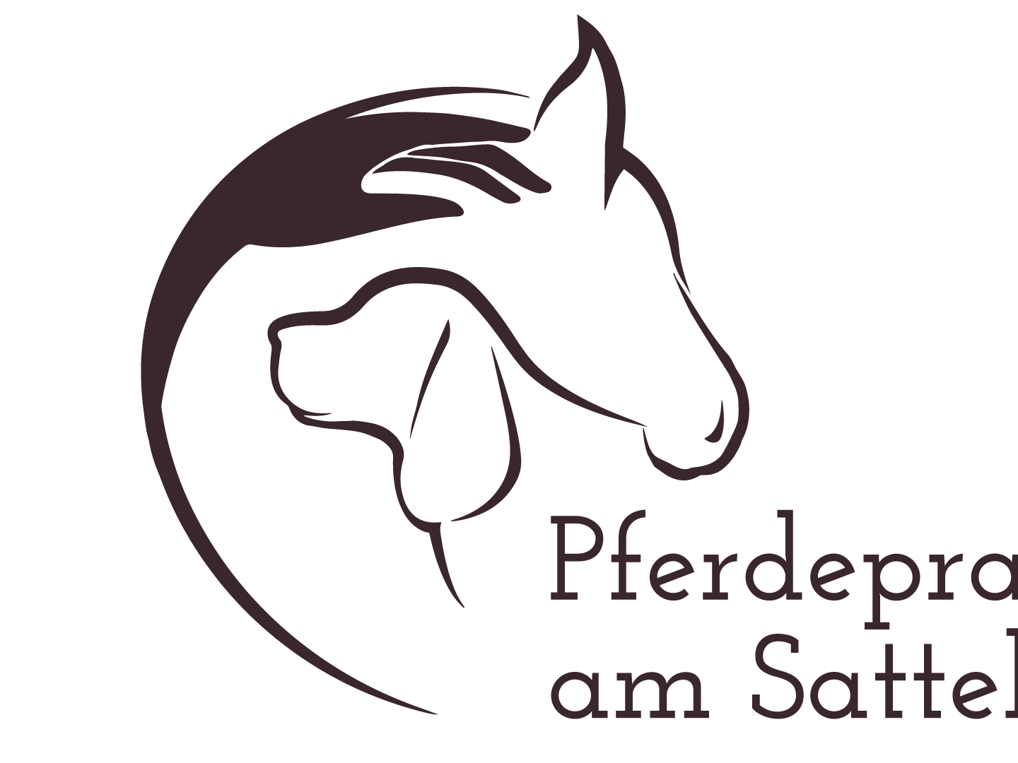 View 2 of Pferdepraxis am Sattel - Mag. Teresa Pfingstner