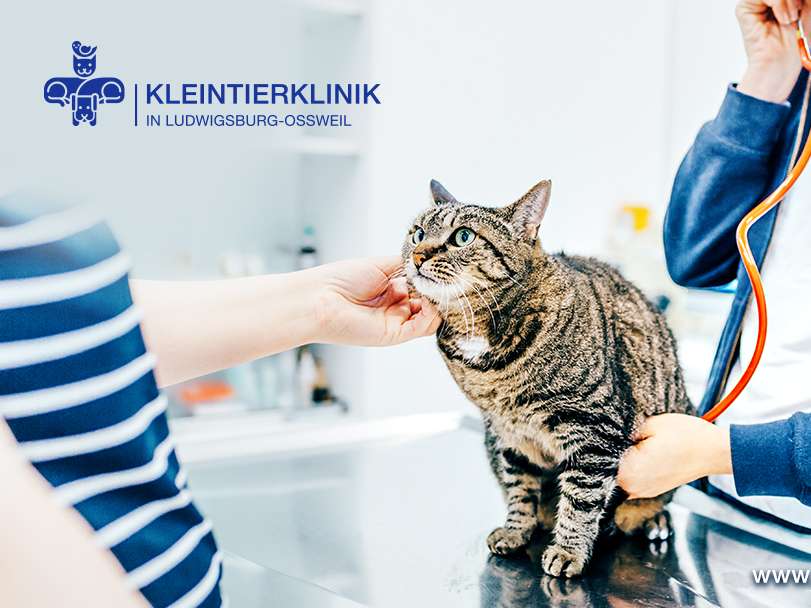Ansicht 1 von Kleintierklinik in Ludwigsburg-Oßweil