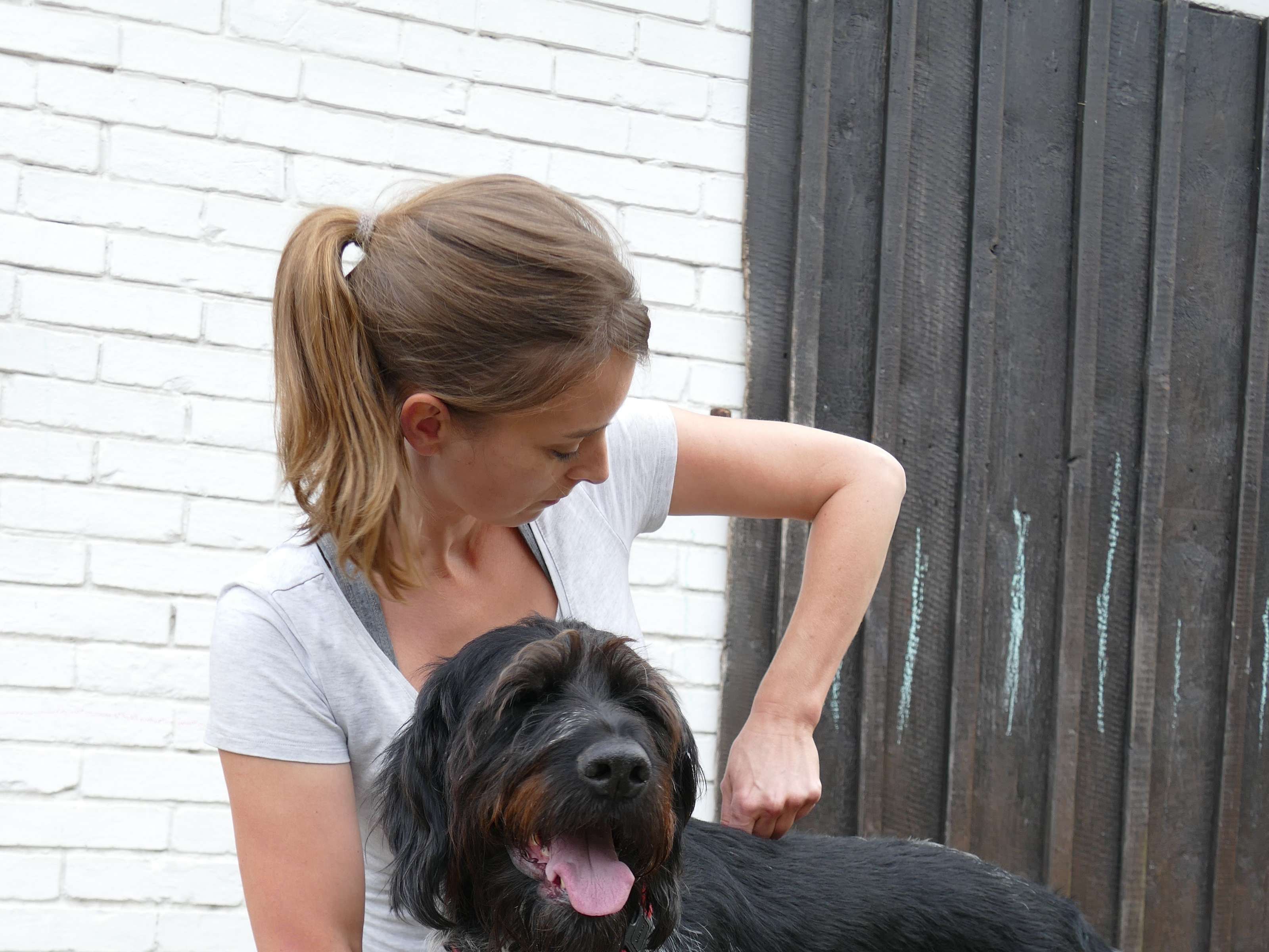 Ansicht 2 von Tierärztliche Chiropraxis Astrid Nüllmann