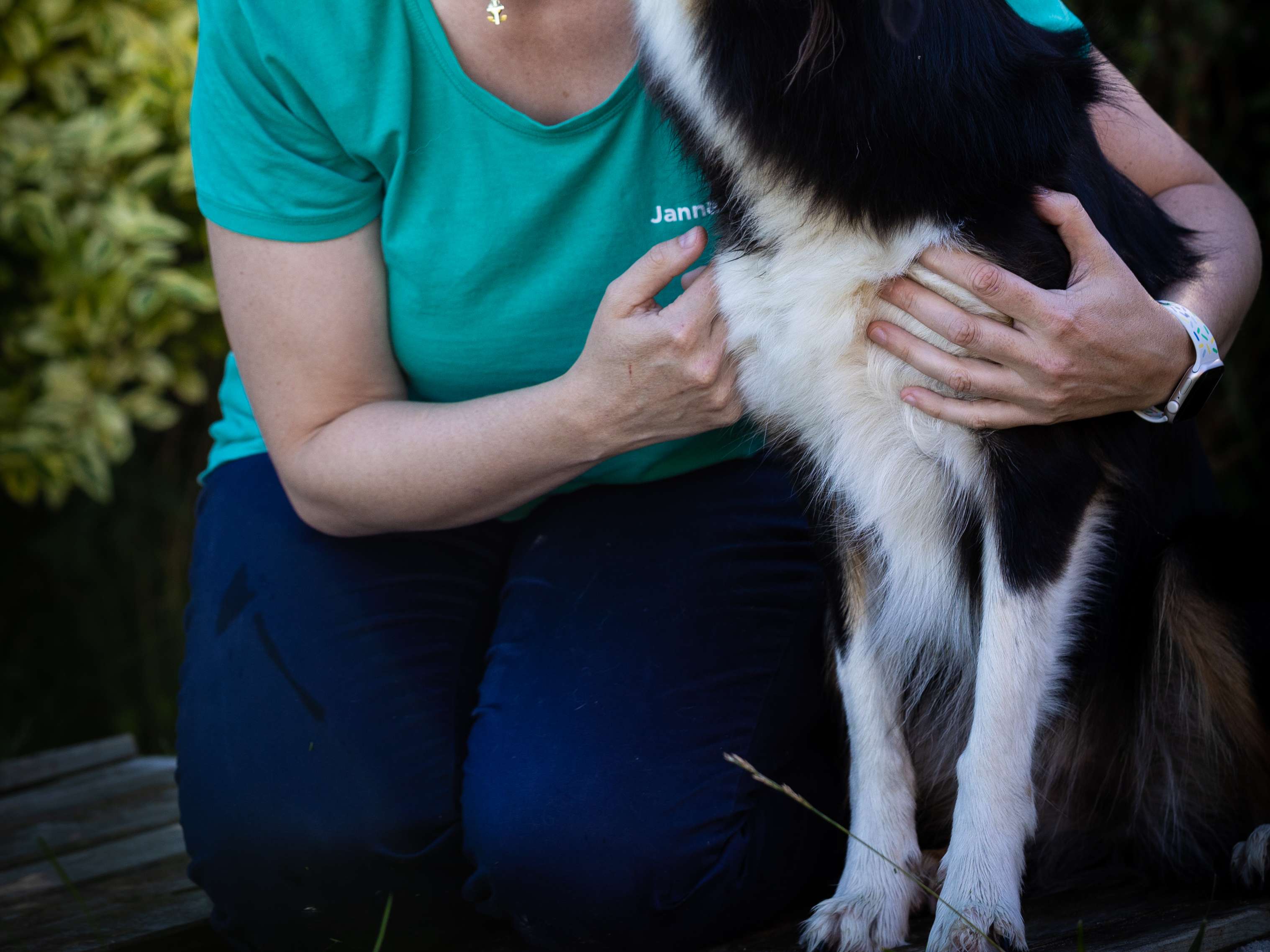Ansicht 2 von Praxis TierVital - Tierärztliche Chiropraktik & Akupunktur