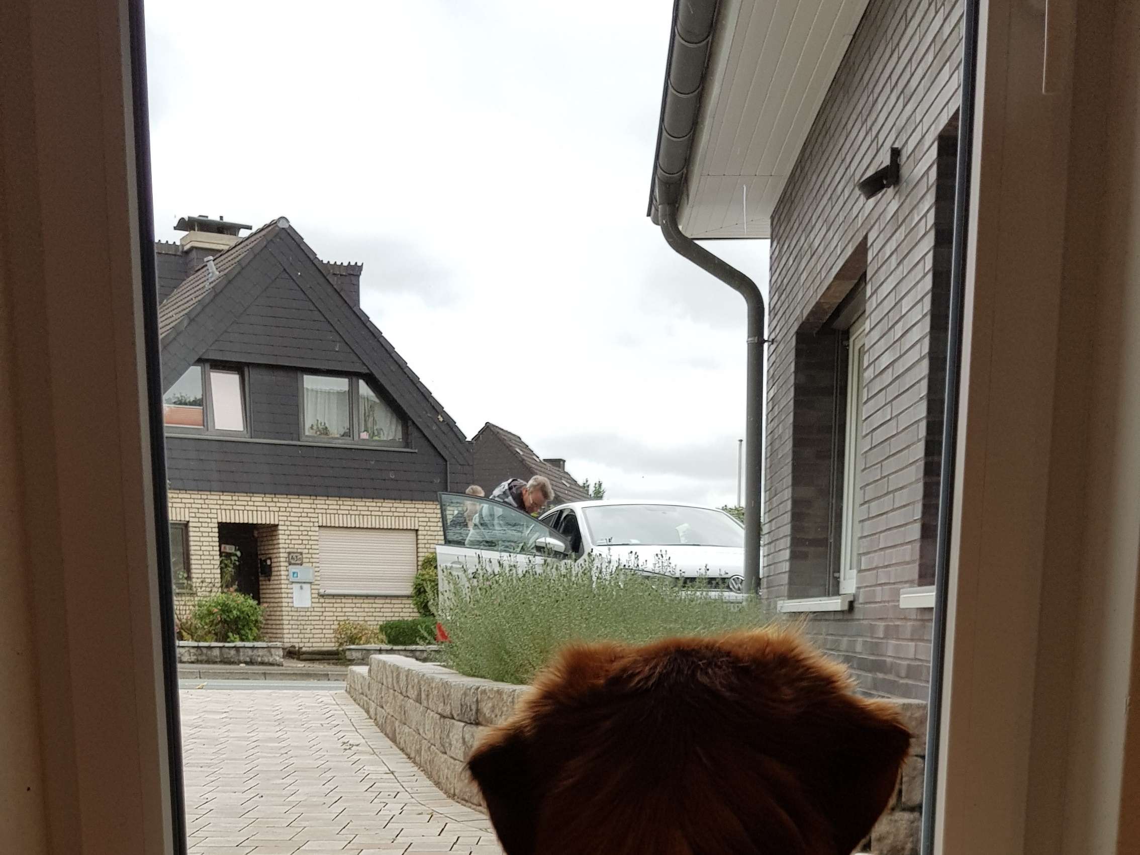 View 5 of Dr.med.vet. Ralf Thormann Tierarzt