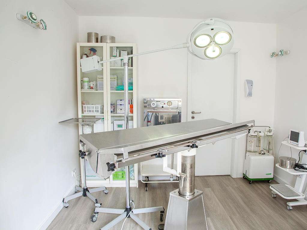View 3 of Flidais Vet - Kleintierpraxis Neukölln